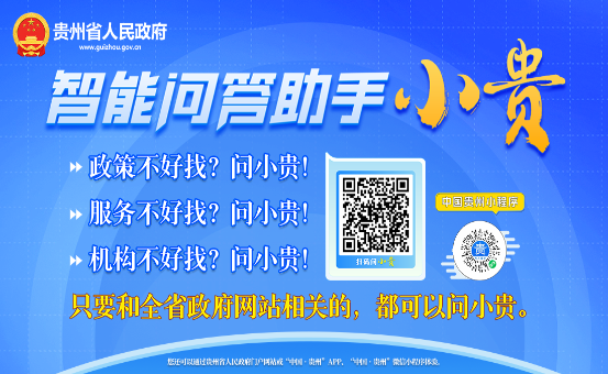 智能问答助手“小贵”